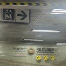 서화도서관 | 나 홀로 국중박 방문 후기 | 박물관 굿즈 구경, 사유공간 찻집