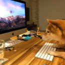 와이투짐 행신역점 이미지