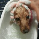 혜강병원 이미지