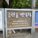 청주 캠핑하기 좋은 금관숲캠핑장 내돈내산 후기