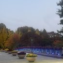 황새울2길 이미지