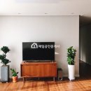 서현제일공인중개사사무소 이미지