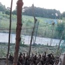 성계농장 이미지