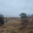 서해랑길 78코스 제2부 : 가로림만 웅도 섬과 구름 덮인 망일산 이미지