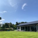 봄이야 놀자 이미지