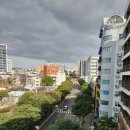 씨유 서귀포올레중앙점 | [겨울 제주 8] 서귀포 아인스호텔 체크인 / 눈과 코와 입이 즐거운 서귀포 매일 올레시장 구경