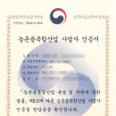 제주비케이 주식회사 이미지