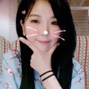 하늘 동물병원 이미지