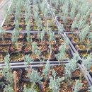 동갑목장 이미지