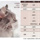 개와고양이 반려동물원 이미지