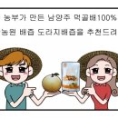 도담농원 이미지