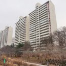 매화마을1 이미지