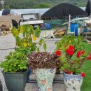 규현농장 이미지