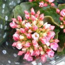 천주의성요한병원 이미지