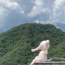 이상원미술관 이미지