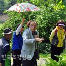 아름다운 정원을 꿈 이미지