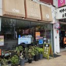 협성가축약품 | [내 돈 내산] 강아지 귀염증 외이염 귓병 치료제 수로란 협성가축약품 구매 후기