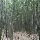 불모산 등산로 입구 | (김해 등산) 장유 대청계곡~장유사~용지봉 등산코스 추천