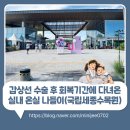 마당이수목원 | 국립세종수목원 후기｜갑상선 수술 후 회복기간에 다녀온 실내 온실 나들이
