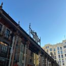 아토 호스텔 | [#6][스페인 9박11일] 마드리드 2박3일 여행 일기 (프라도미술관/파홈아토차/자크폰크림/산미겔시장)