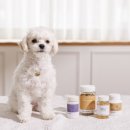 백동물의료센터 이미지