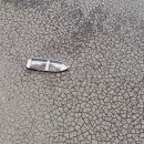 덕우축산 이미지