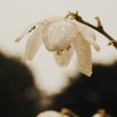 도서블로그 : 모순, 하지만 삶은 결코 모순되지 않은 양귀자 소설의 따듯한 위로