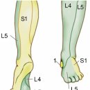 선제약국 | 정신차려 내허리3️⃣ 허리환자 일상, 신경외과 치료 후기, 허리디스크 추천템