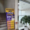 펫츠아일랜드 수월점 이미지