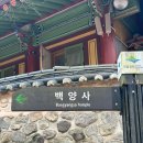 출국 1주 전, 무엇부터 해야하는가 🫠 (+3월 한 달 놀고먹은 얘기)