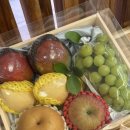 시청길 | 춘천 과일가게 컵과일 추천 그집과일 내돈내산 후기