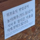 운암지주차장 | 대구 운암지 근처 '송정 메기 매운탕' 후기