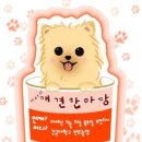 성보물산 Daum카페