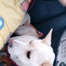 (주)에스메디칼 이미지