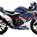 견제가 시작 되었습니다. SUZUKI GSX-R 125 입니다.ㅎ 이미지