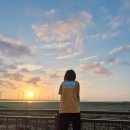 신나는실내마차 | [NOL로 다녀온 타이중 일일 투어] 마차투어 5일