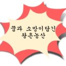 왕촌농산 이미지