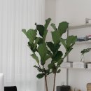 고정아의원 이미지