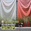 성수 한입베이글 야외 테이블 애견동반 가능
