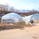 충북 제천 농지계획관리지역 온천원 보호지구 농가주택 이미지
