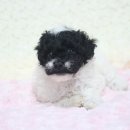 은아농장 이미지