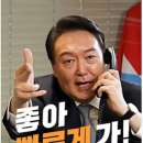 대윤 Daum카페