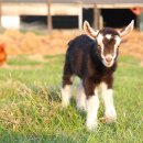 민행정사사무소 이미지