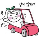 대호관광개발(주) 네이버블로그