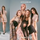 지니어스 마이데일리