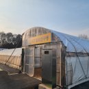 (주)맥스팜 이미지