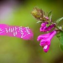 해바라기화원 - 태안군 군청2길 2 | 해바라기화원