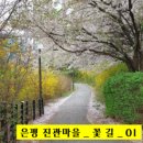 꽃진관 이미지
