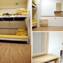 티스테이 이미지