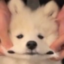 춘리마라탕 이미지